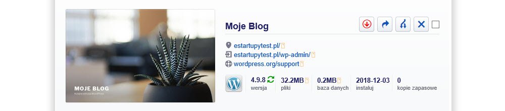 Podsumowanie udanej instalacji aplikacji WordPress w panelu administracyjnym hostingu (DirectAdmin)