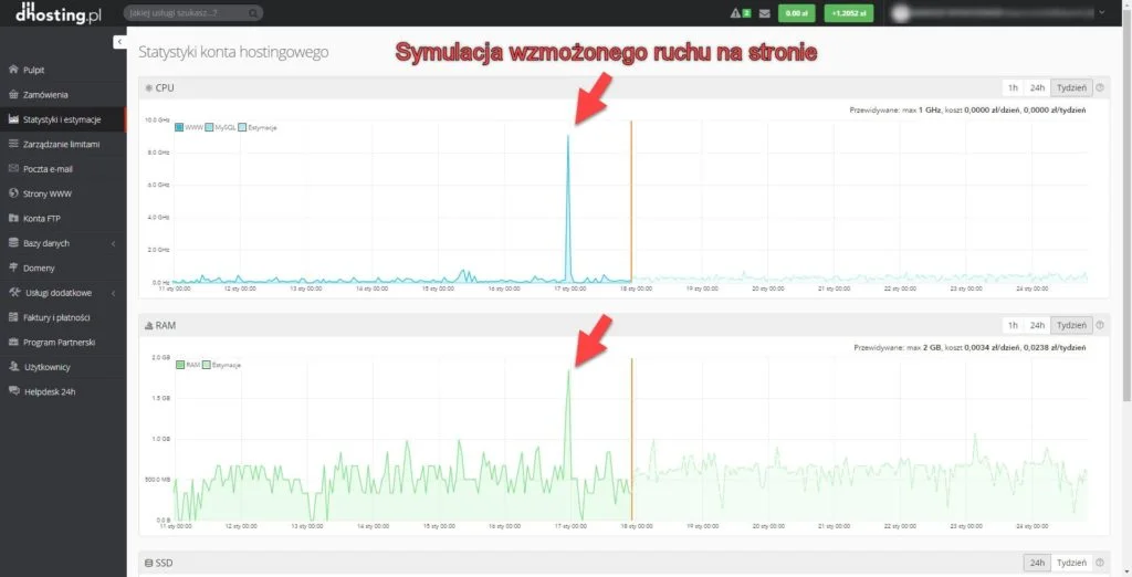 Zachowanie się serwera podczas symulacji wzmożonego ruchu na stronie z elastycznym hostingiem.