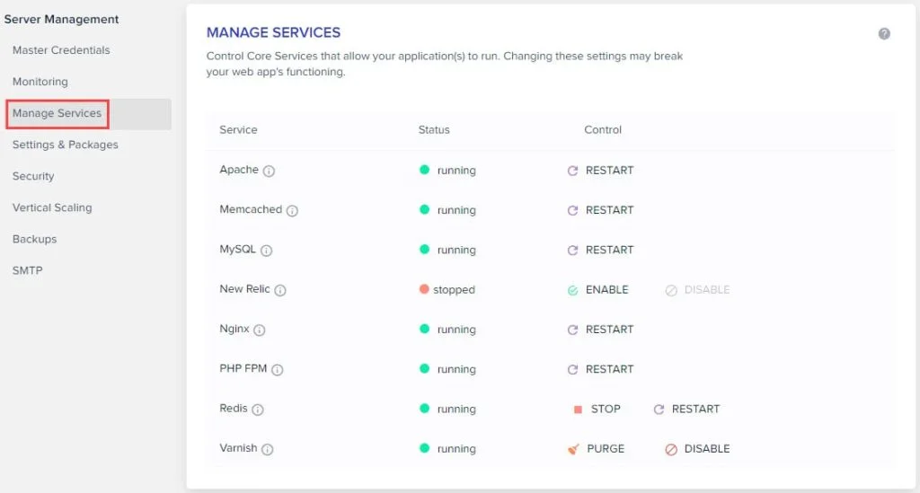 Obraz przedstawia zakładkę do zarządzania usługami uruchomionymi na serwerze hostingu cloudways