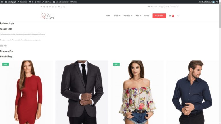 OceanWP – Problem z Importem Gotowej Strony Demo