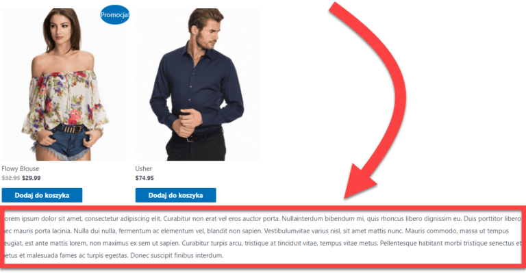 Jak w woocommerce przenieść opis kategorii produktów, żeby wyświetlał się pod produktami