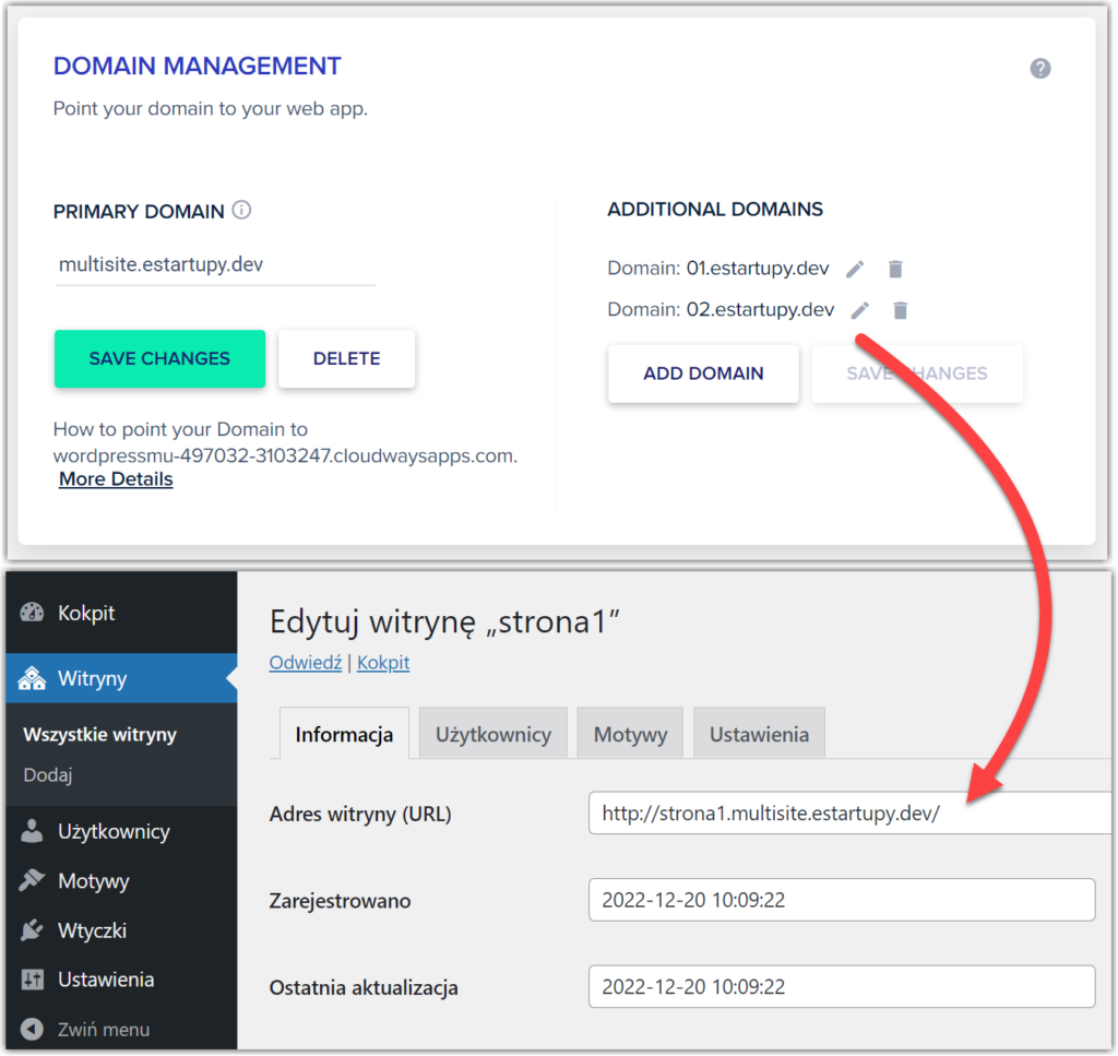 różne domeny w sieci witryn wordpress multisite. Obraz pokazuje mapowanie domen w cloudways