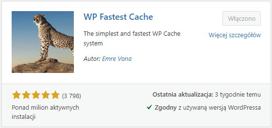 darmowa wtyczka do buforowania cache dla wordpress wp fastest cache